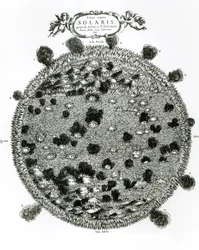 Superficie del Sol mostrando manchas solares, ilustración de 